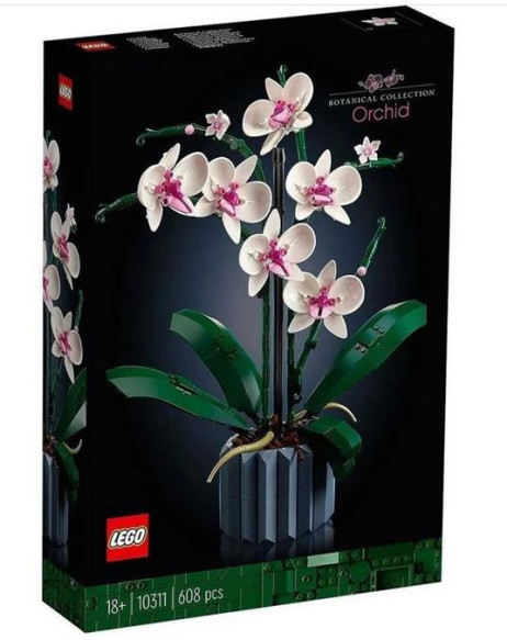10311 Orchidea