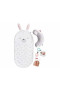 FISHER PRICE BABY BUNNY GJD32