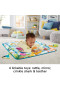Fisher-Price-Dive-Right-In-Activity-Mat