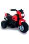 Moto da Corsa elettrica per bambino 6V