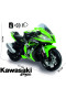 Kawasaki Ninja 12V - biemme