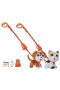 Hasbro Fur Real Friends POOPALOTS Cuccioli Assortiti