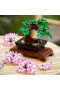 10281 Albero Bonsai