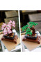 10281 Albero Bonsai