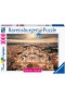 Rome 1000 Pz