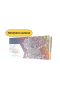 Evoluzioni Prismatiche Super Primium Collection ITA PREORDINE 28/08/2026