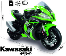 Kawasaki Ninja 12V - biemme