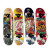 GGI210006 Skateboard 80cm in legno 4 modelli